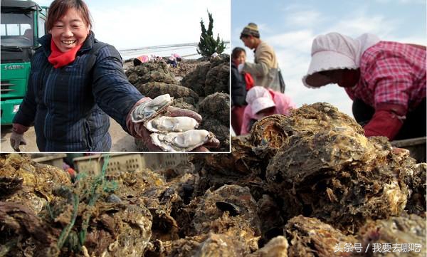 Take you to eat eat eat -- Shandong breast hill is ostracean