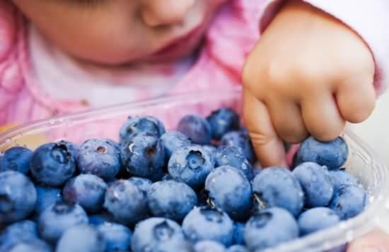 提升幼儿学习和记忆 妈妈你知道让孩子食用蓝莓吗？