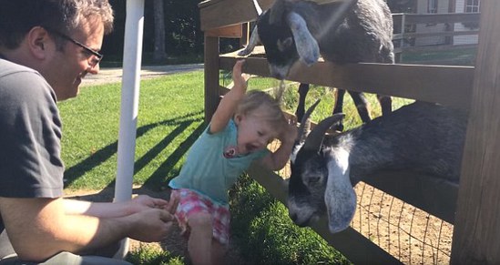 呆萌小女孩只顾着给一只羊喂东西吃，被忽视的另一只是这样报复的