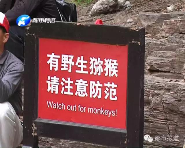 冠生园前董事长云台山遇难 这事儿到底跟猴子有关系吗？