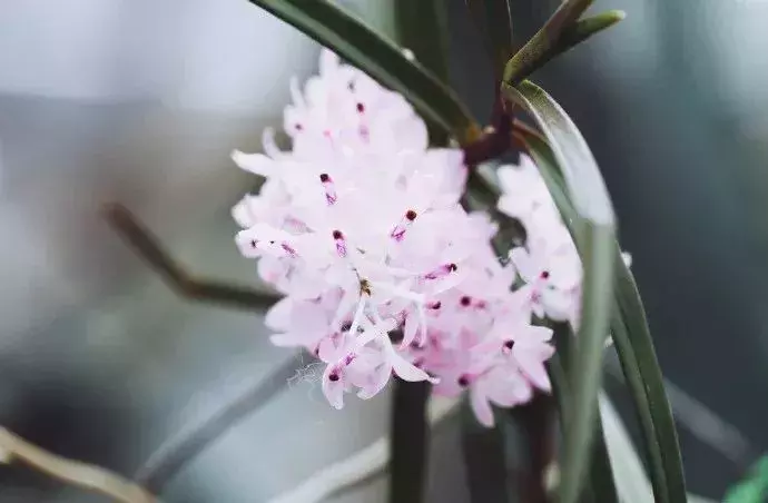 励志诗-第9张图片-诗句网