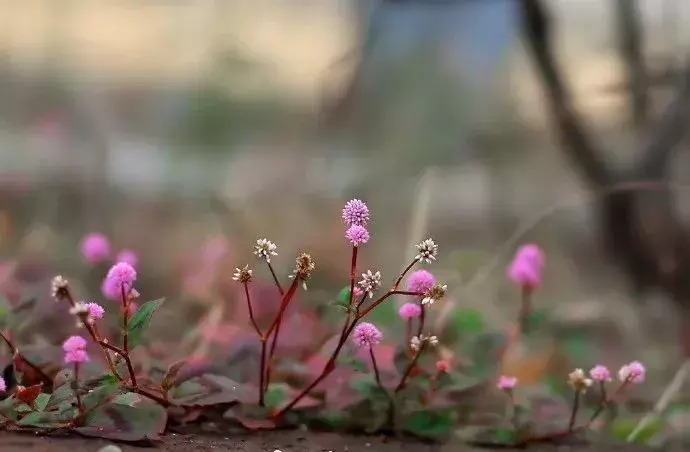 励志诗-第8张图片-非凡网 励志诗-第8张图片-非凡网