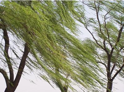 "喝西北风"这句俗语,同古代最早的隐语有关