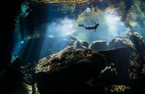 摄影师潜水偶遇蓝鲸 盘点那些惊艳海底的照片