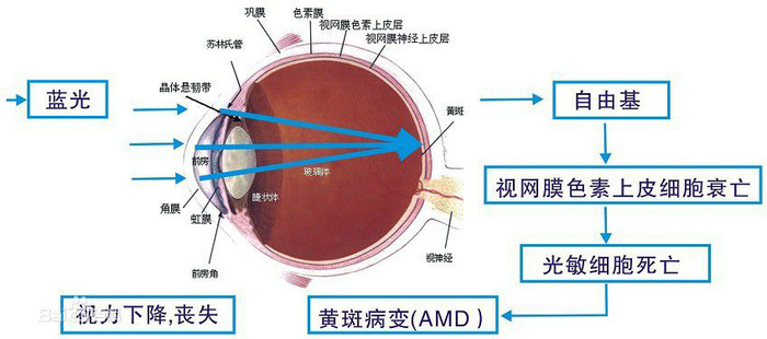 超极课堂教学(40)：大黄屏的护眼模式为何能保护视力？