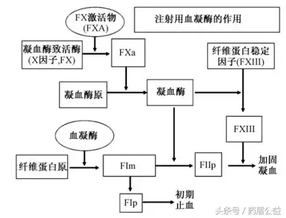 蛇毒血凝酶怎么注射（蛇毒凝血酶肌肉注射多久见效）