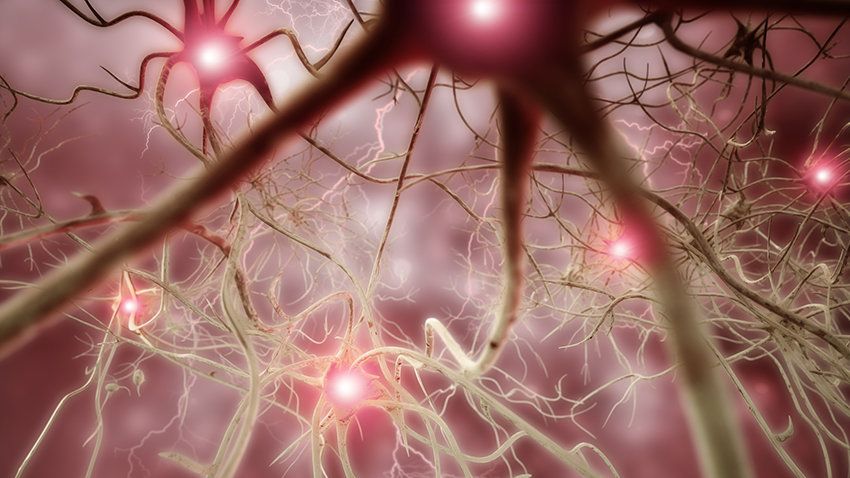 爆炸的大脑网络会导致慢性疼痛吗？
