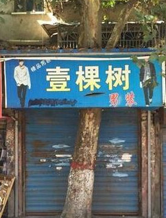 名正才能言顺 想开店就这样取名字 夺人眼球生意不好都难