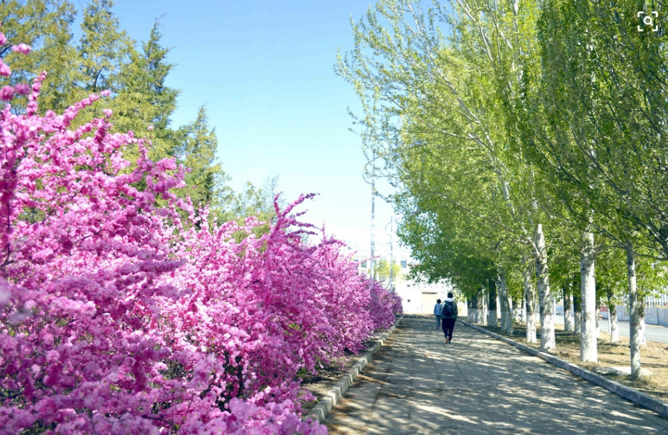 歌咏春夏秋冬的诗词，春花秋月，夏夜冬雪，四季美景尽在诗中-第4张图片-非凡网