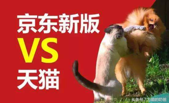 淘宝和京东哪家强？区别在哪？小编为你揭晓答案