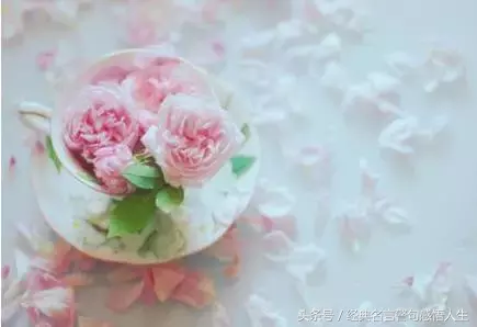 人要懂得感恩,要有宽容善良之心-第5张图片-非凡网 人要懂得感恩,要有宽容善良之心-第5张图片-非凡网