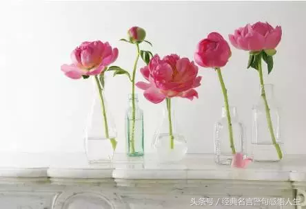人要懂得感恩,要有宽容善良之心-第4张图片-非凡网 人要懂得感恩,要有宽容善良之心-第4张图片-非凡网