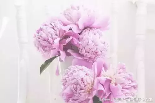 人要懂得感恩,要有宽容善良之心-第1张图片-非凡网 人要懂得感恩,要有宽容善良之心-第1张图片-非凡网