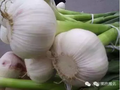 河南礼物：除了列出来的，郑州特产请你补充