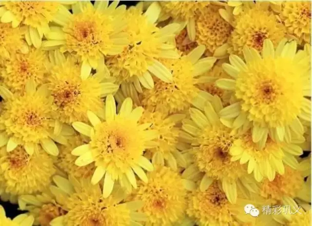 河南礼物：除了列出来的，郑州特产请你补充