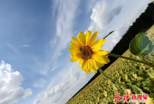 北京天气预报：明天好天气持续 下周阴晴多变降雨三次