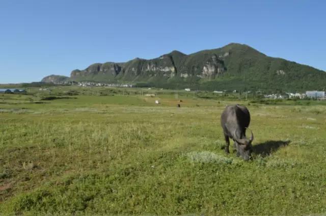 贵州9个鲜为人知的草原秘境，一起去看看美丽的大草原吧！