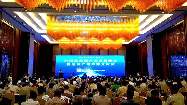 中国茧丝绸产业发展峰会暨全国产销形势分析会在南充召开