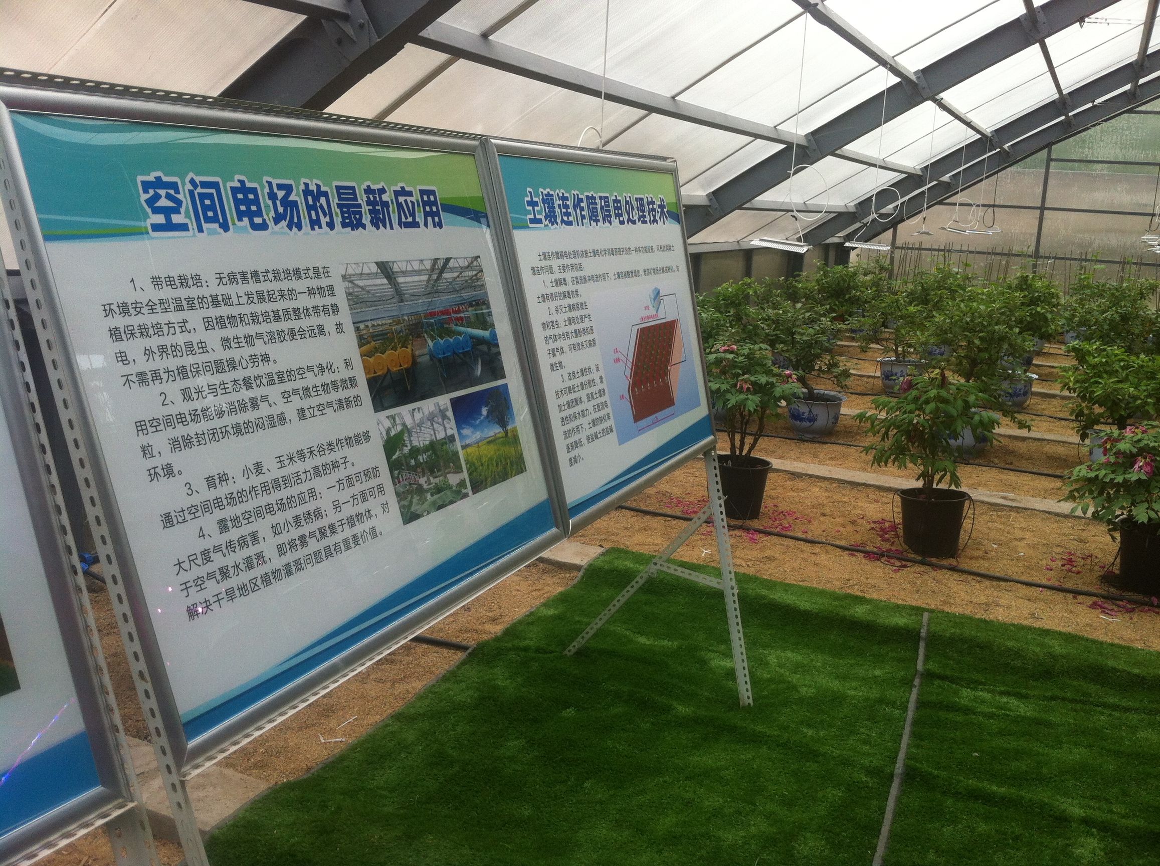 有个农业科技展正在郑州举行，很适合中、小学生观看，免费的！