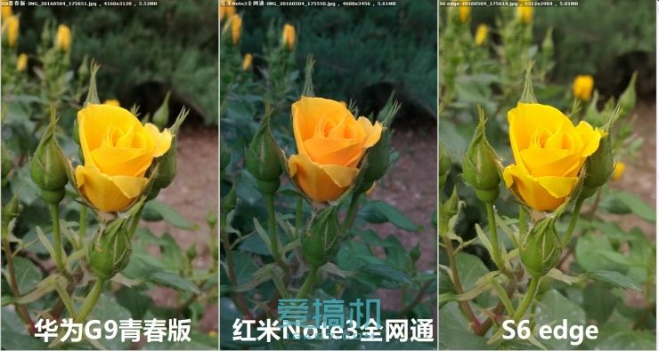 差距会有多大？红米Note3/ 华为G9/ S6拍照对比