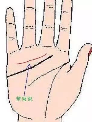 【商业型】 食指根部木星丘发达,气色血色良好,财运必佳.