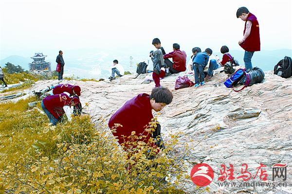 志愿者登山捡垃圾 让文明与美景相伴