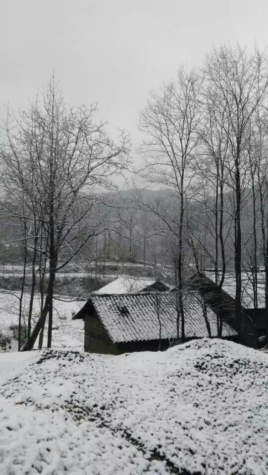 昨晚汉中很多地方，又下大雪了