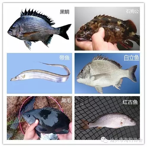 游钓福建福清，完美收杆（内附攻略）