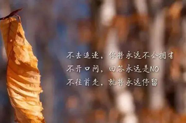 励志成熟走心的句子，经典至极（深度好文）