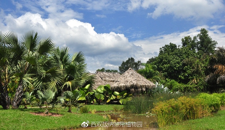 春节西双版纳热带植物园旅游攻略