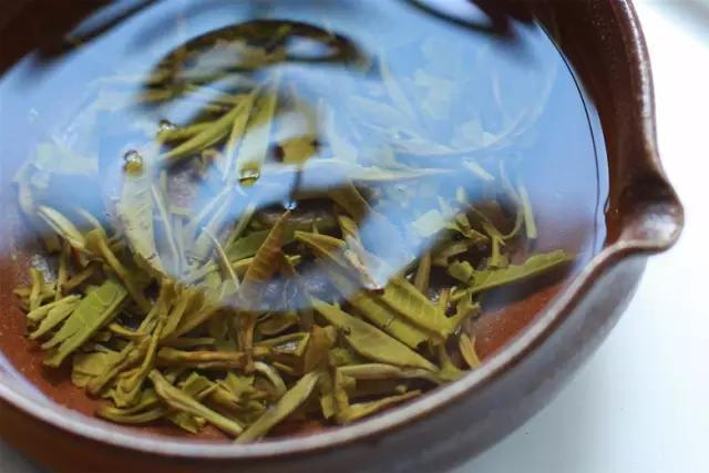 当季绿茶，要么喝光，要么冷藏