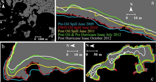 2010年“深水地平线”漏油事件引发路易斯安那州大规模的土壤侵蚀