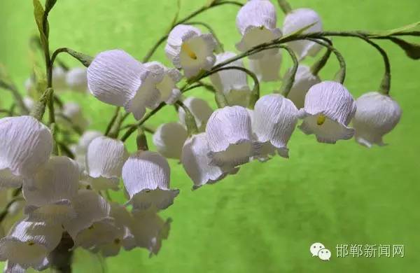 一张纸在这个邯郸姑娘手里玩出了“花样”!