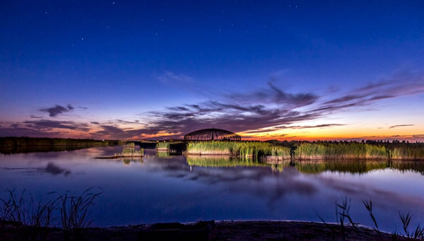 漂亮的东营黄河口生态旅游区