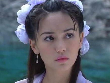 娱乐圈作品有《壮志豪情》《暴雨狂花》《富贵双城》《大酒店》《金枕