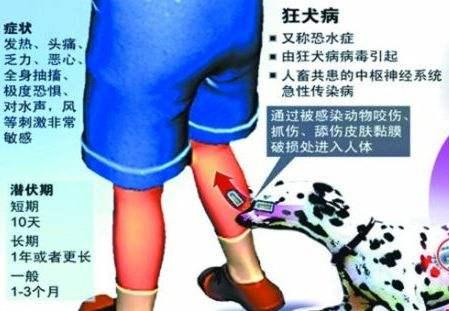 健康提醒：这段时间流行的疾病有这些 预防宝典已备好-第4张图片-农百科
