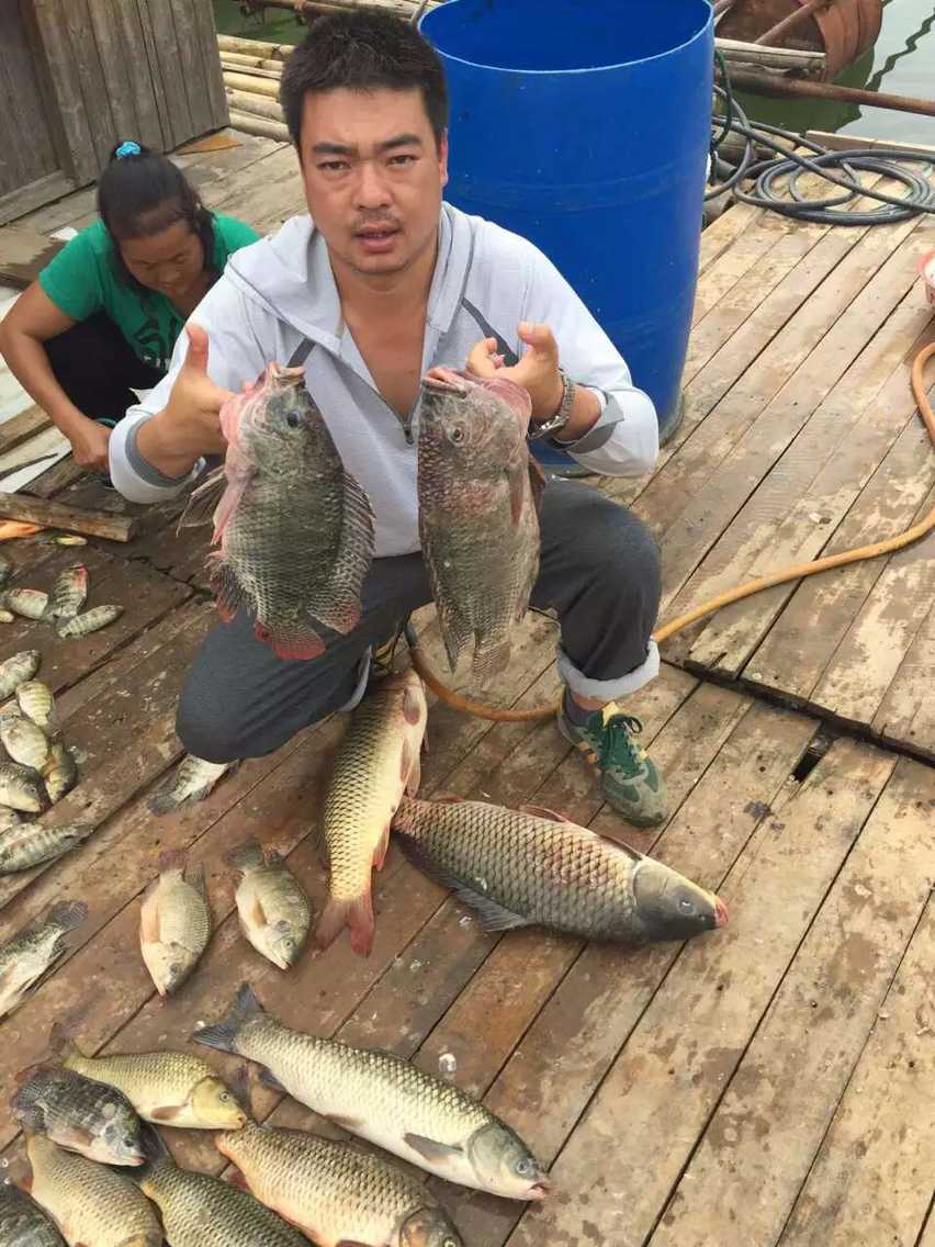 贵州万峰湖游钓，收获巨型罗非鱼