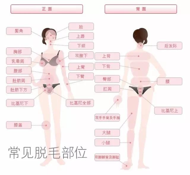 夏天来啦：激光脱毛疼不疼？要做几次？