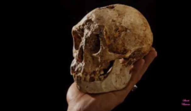 霍比特人是真的？印尼发现70万年前袖珍人遗骸