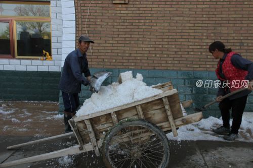 受冰雹影响 环县、庆城直接经济损失1750万元