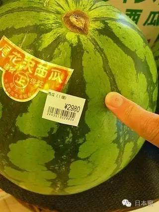中国夏天随便吃的西瓜，为什么日本却卖到“天价”？