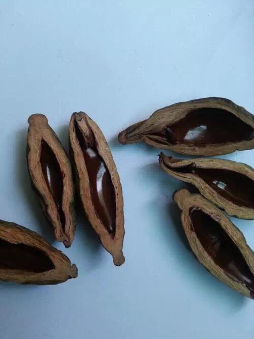 剖析鸿茅药酒的成分，竟发现了这些“毒物”