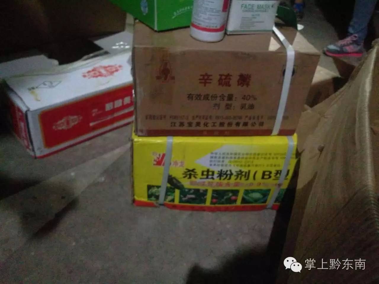 麻江县坝芒乡栗木村“马陆虫”泛滥，部分村民出现过敏反应