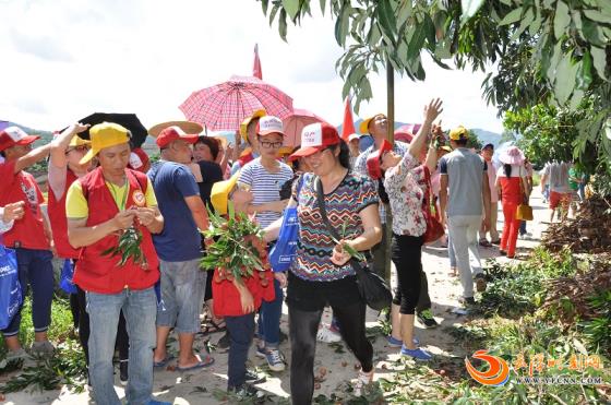 宝珠镇举行2016庞寨荔枝节自驾游暨公益助学活动
