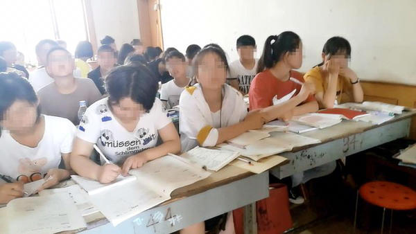 延津县教育培训行业：从繁花到涅槃