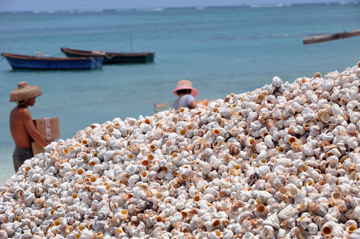美丽南海 看西沙七连屿的碧海白沙