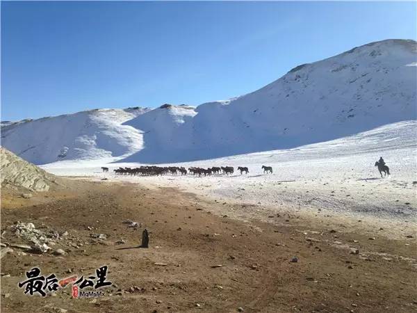 冬季草原上新疆牧民de神秘生活