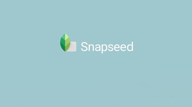 美图配字更有趣《Snapseed》增加文字滤镜