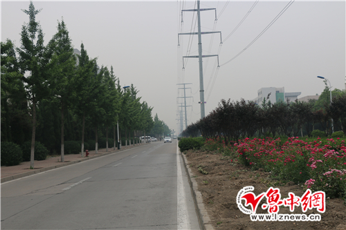 淄博兰雁大道本月22日招标 预计将于26日开工