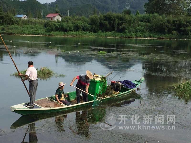 华埠社区组织志愿者清理河道垃圾
